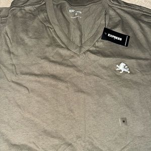 Express unisex VNeck TShirt Medium